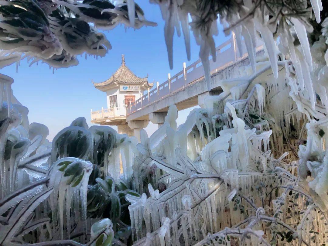 探索会计证遗失刚巧要换新证如何办理的红迪网平台